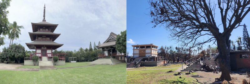 Lahaina Jodo Mission plans rebuilding